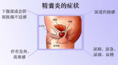 慢性精囊炎能自愈吗？